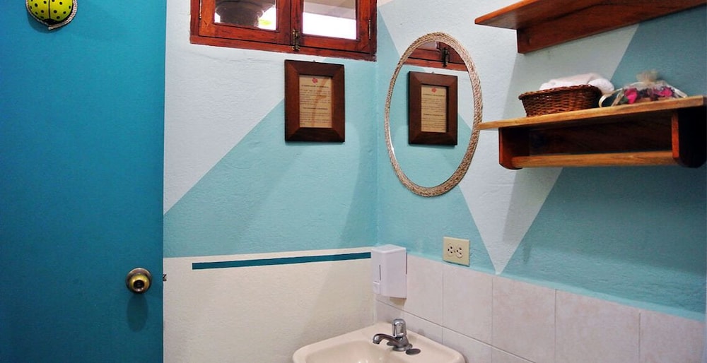 Árbol de Fuego Eco-hotel, a green experience in the city