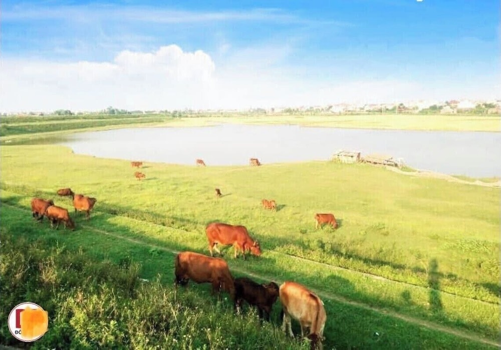 Lee Homestay