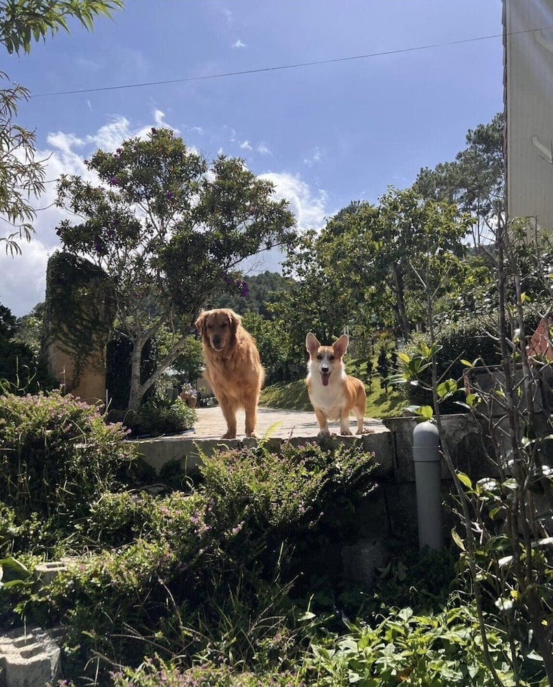 Scent Bungalow