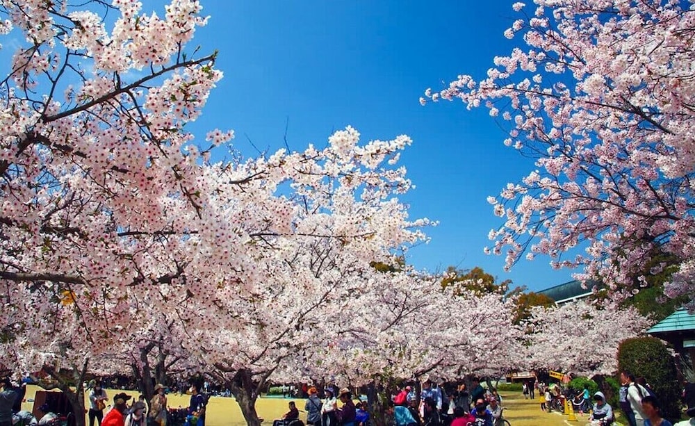 Himerakuen