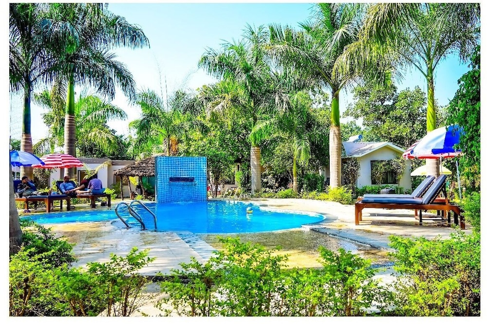 Kingfisher resorts