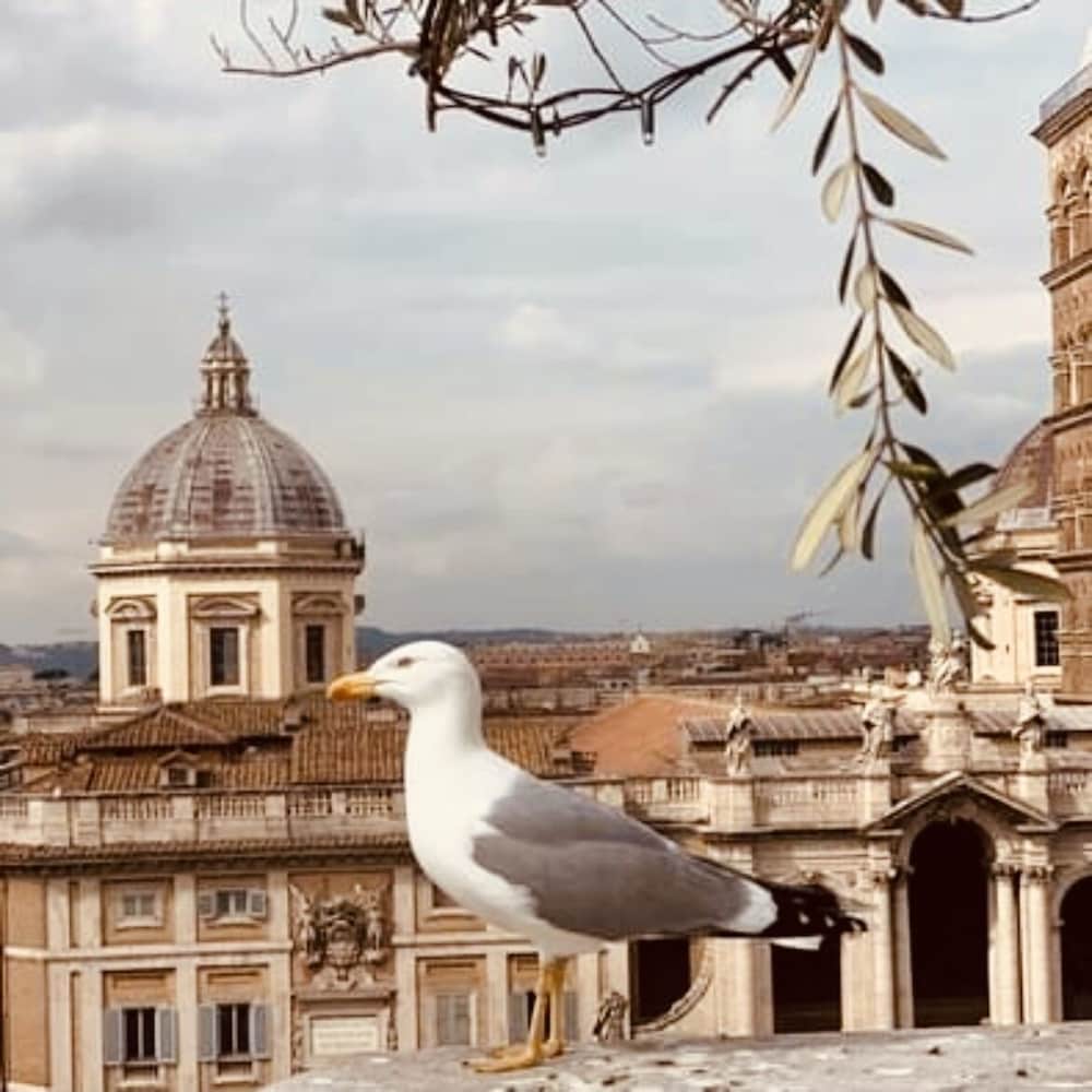 Esquiline Suites
