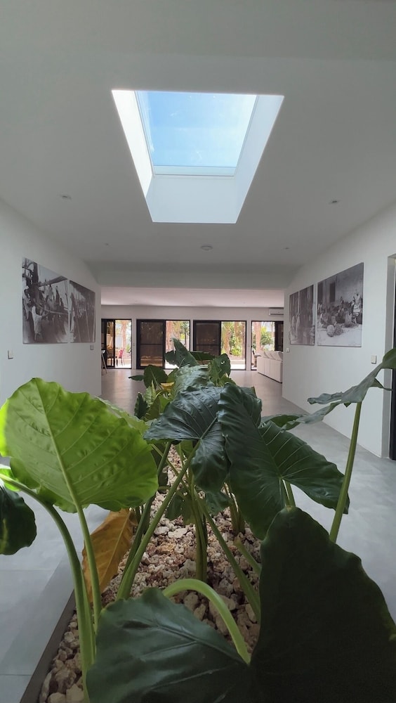 The Oasis Residence
