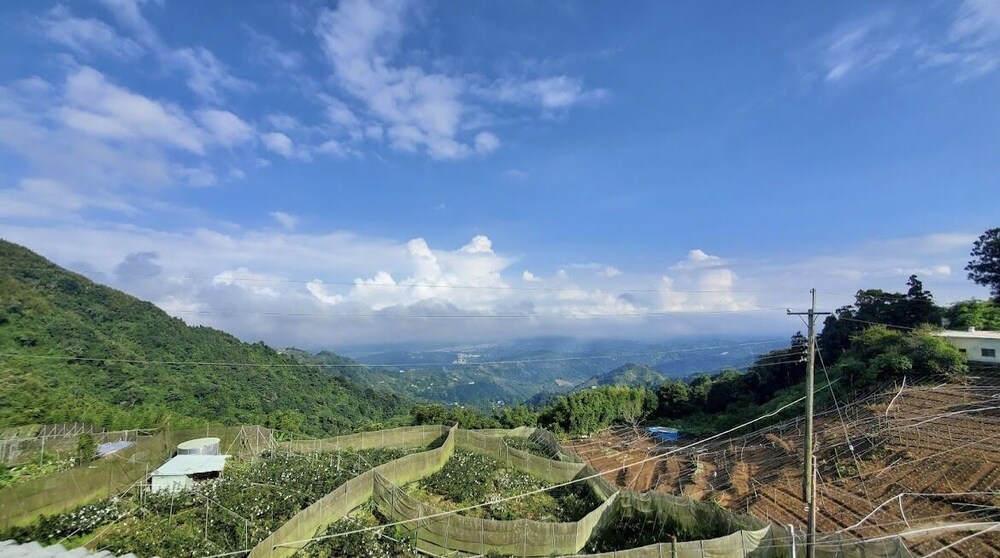Starlight-Mountain Joy view 5