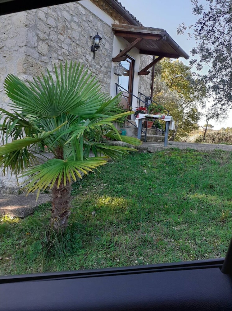 Photo 21