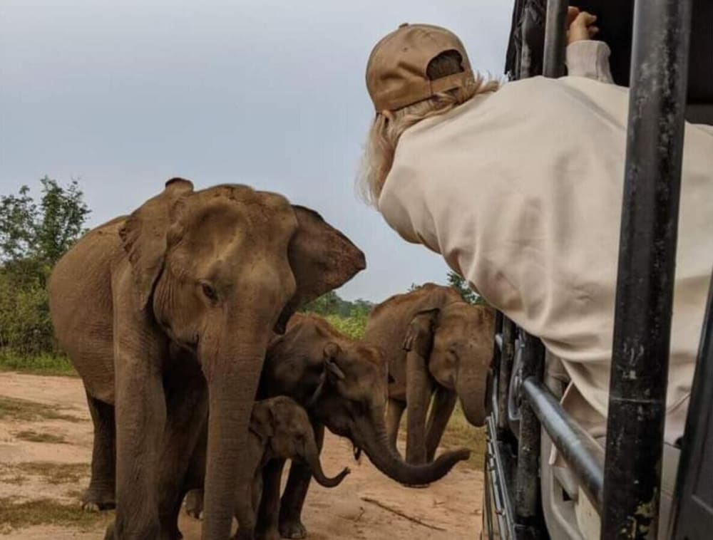 Ivory Safari House