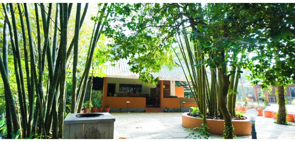 Holiday Courtyard