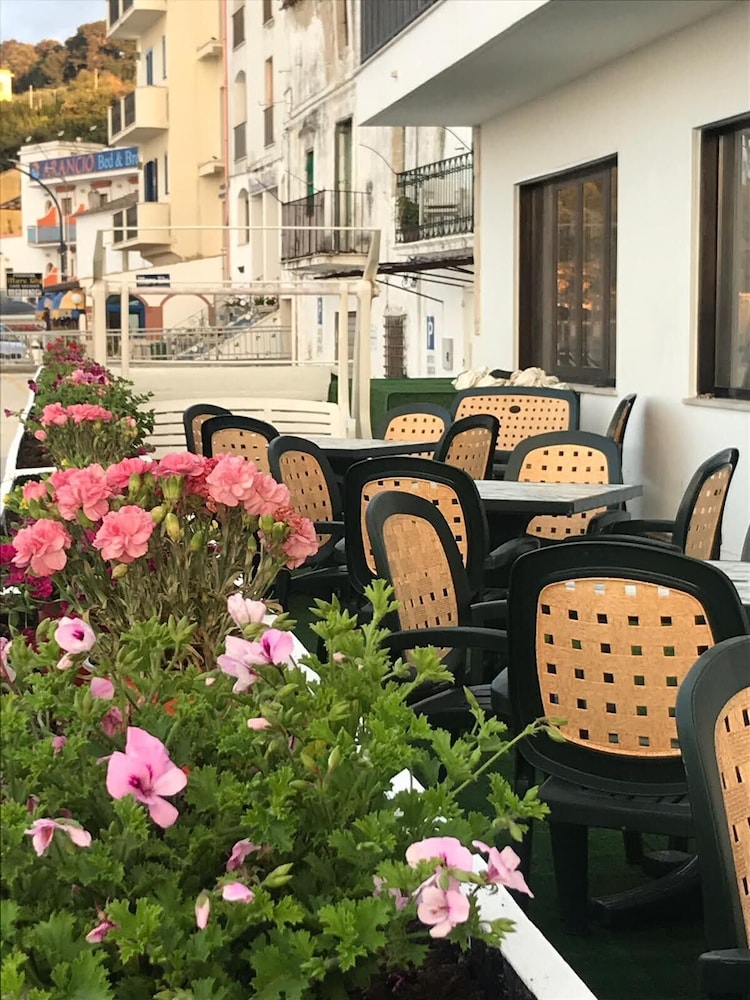 Alba Living Boutique Hotel