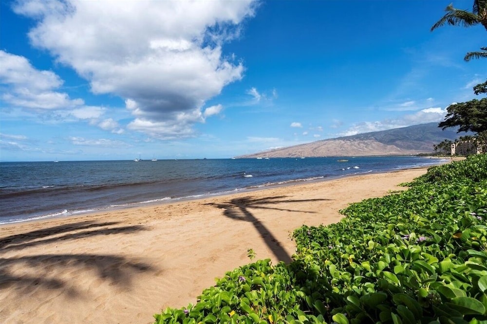 Maalaea Surf C2 1 Bedroom Condo