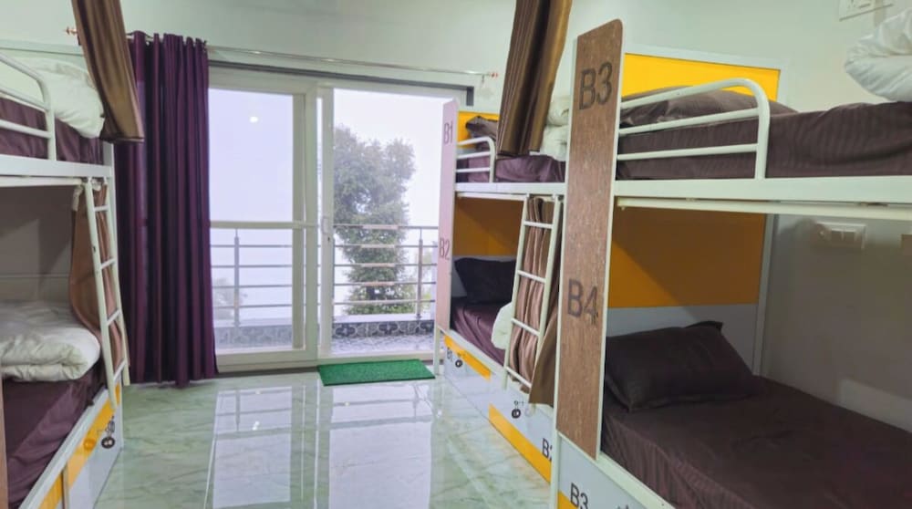 Camel S Backpackers Hostel