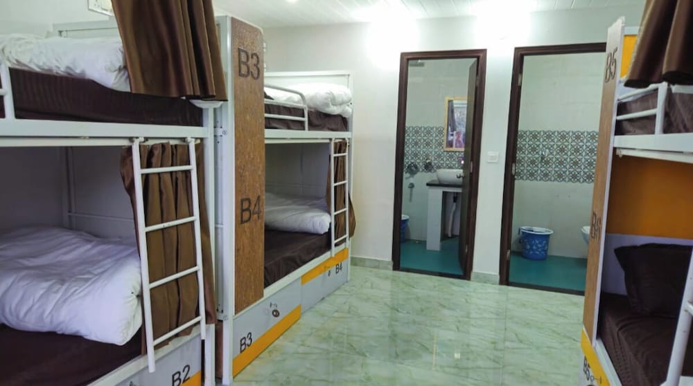 Camel S Backpackers Hostel