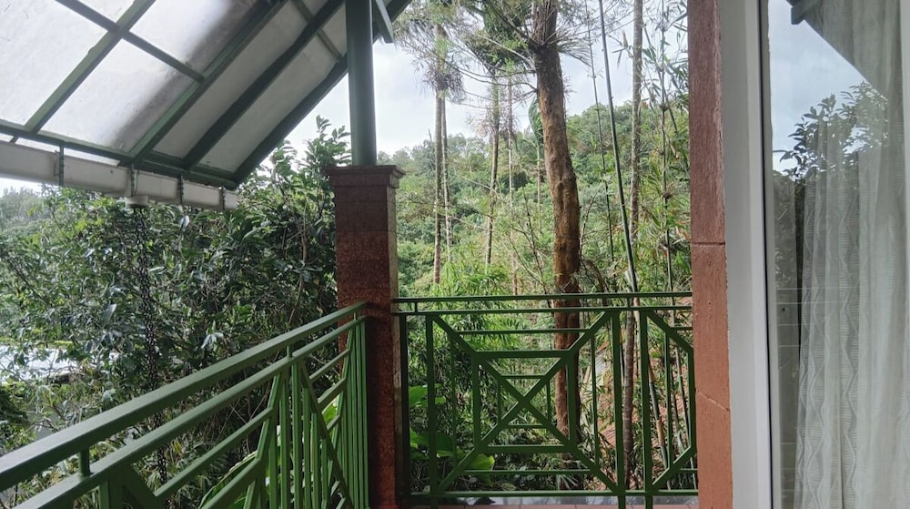 Holiday Courtyard