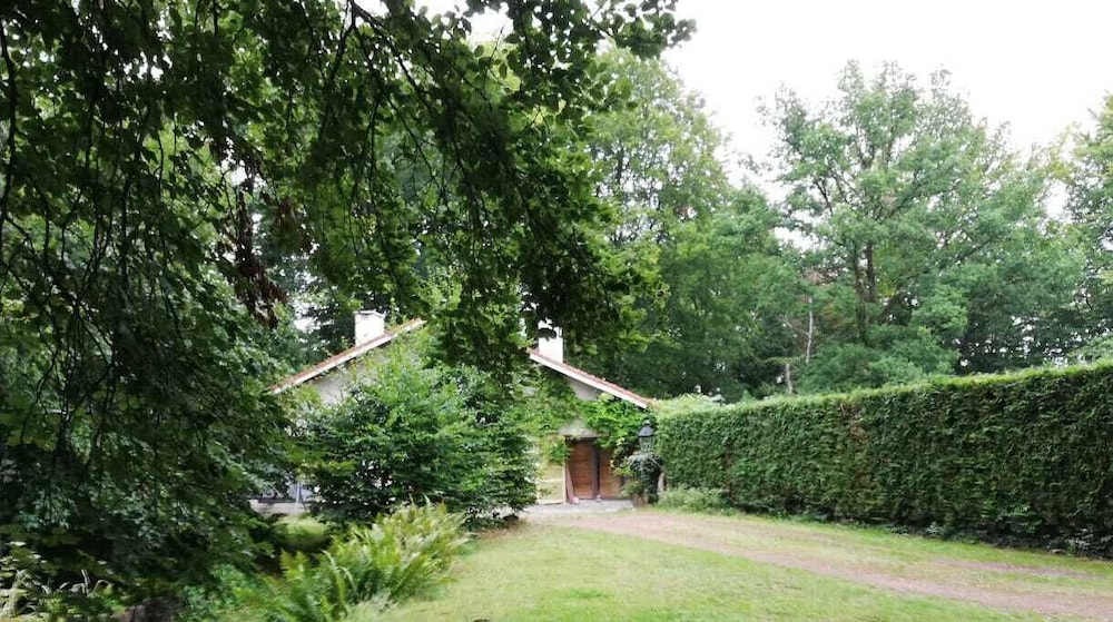 Charming Studio the Heart of the Forest