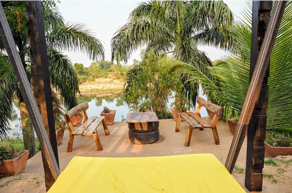 Bastar Birds Nest