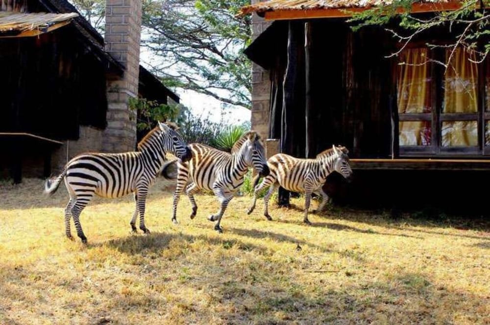 Maralal Safari Lodge view 5