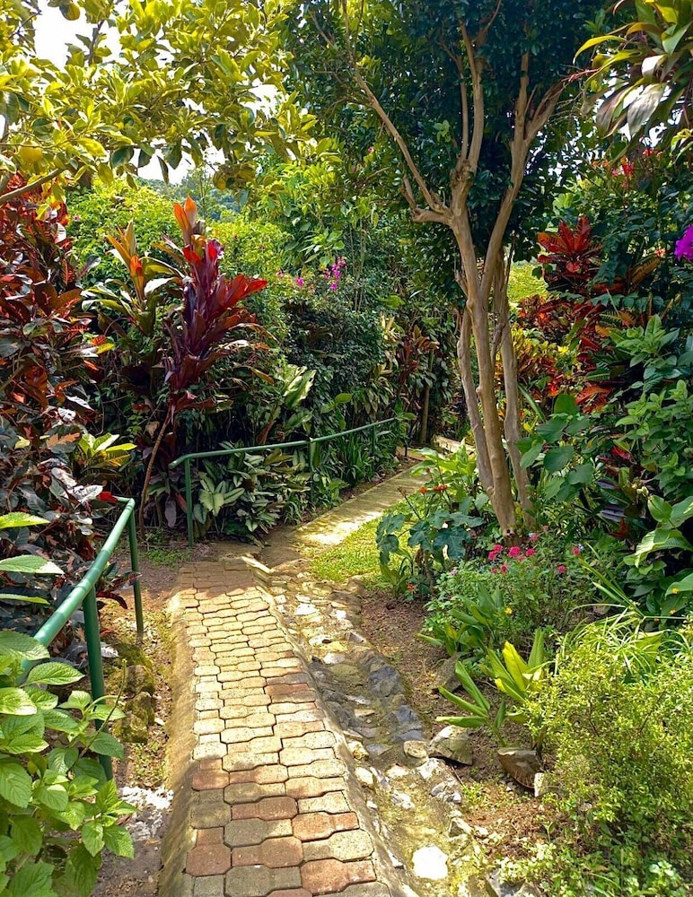 Eden Atenas