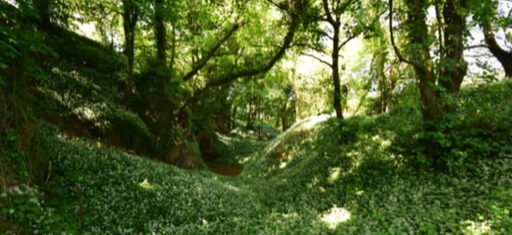 Photo 38
