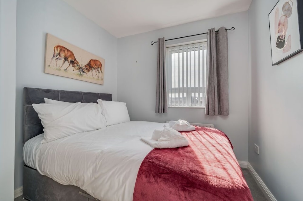 Central Belfast Apartments: Cromwell view 3