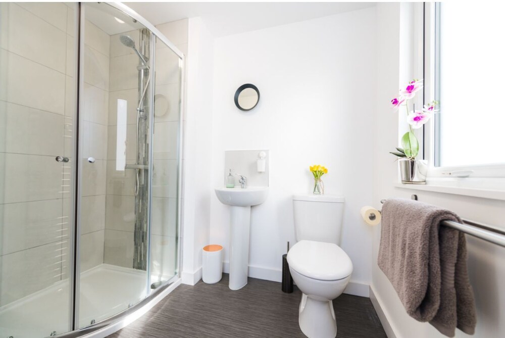 Central Belfast Apartments: Sandford view 2