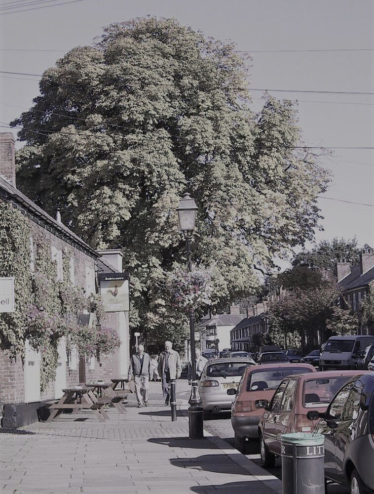 Photo 28