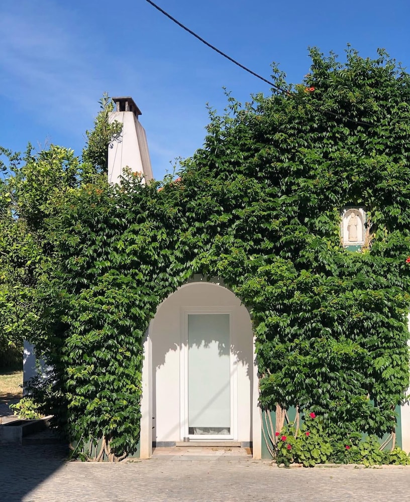 Horta dos Cedros