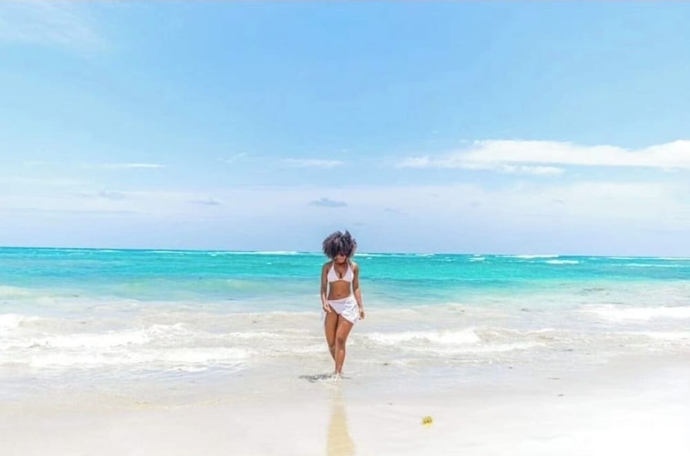 Playa Palmera Beach Front Apartments