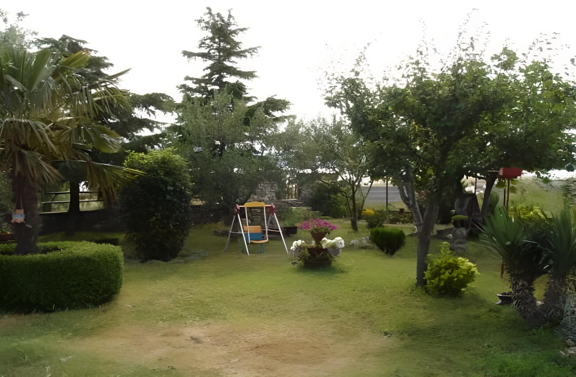 Photo 9