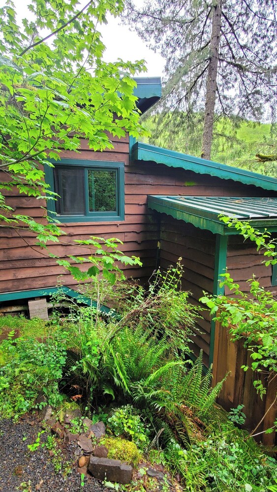 Welch Cabin - A License to Chill