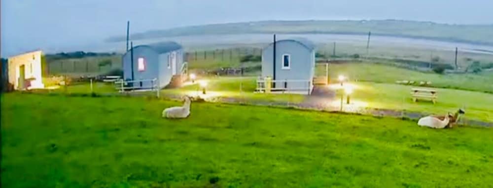 The Snuggly Sheep Shepherd Hut Campview Farm Stay view 2