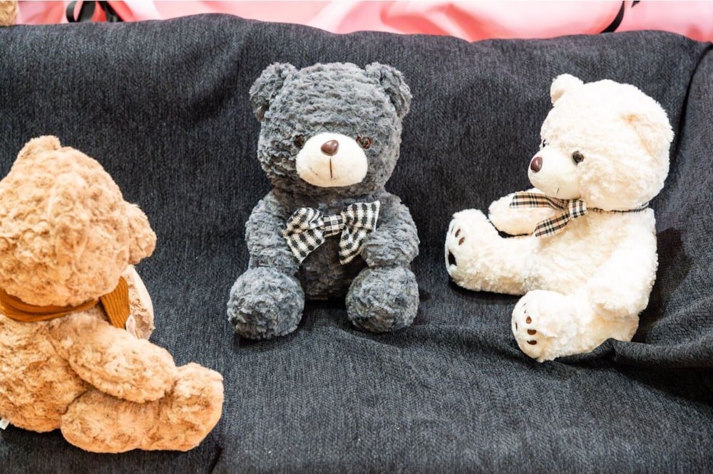 Teddy Bear Museum Boutique Hotel