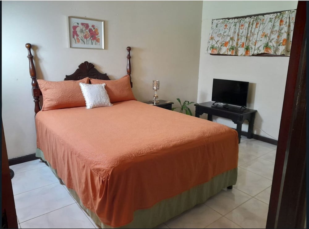 Comfort Kingdom Villa Bed & Breakfast view 4