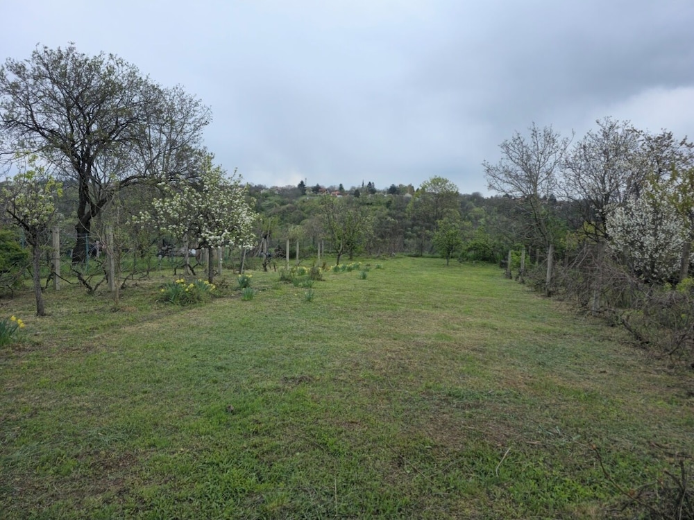 Vila Nera Banstol Cottage