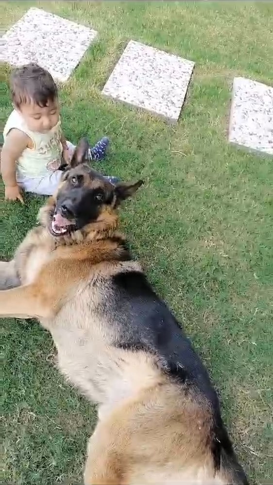 human