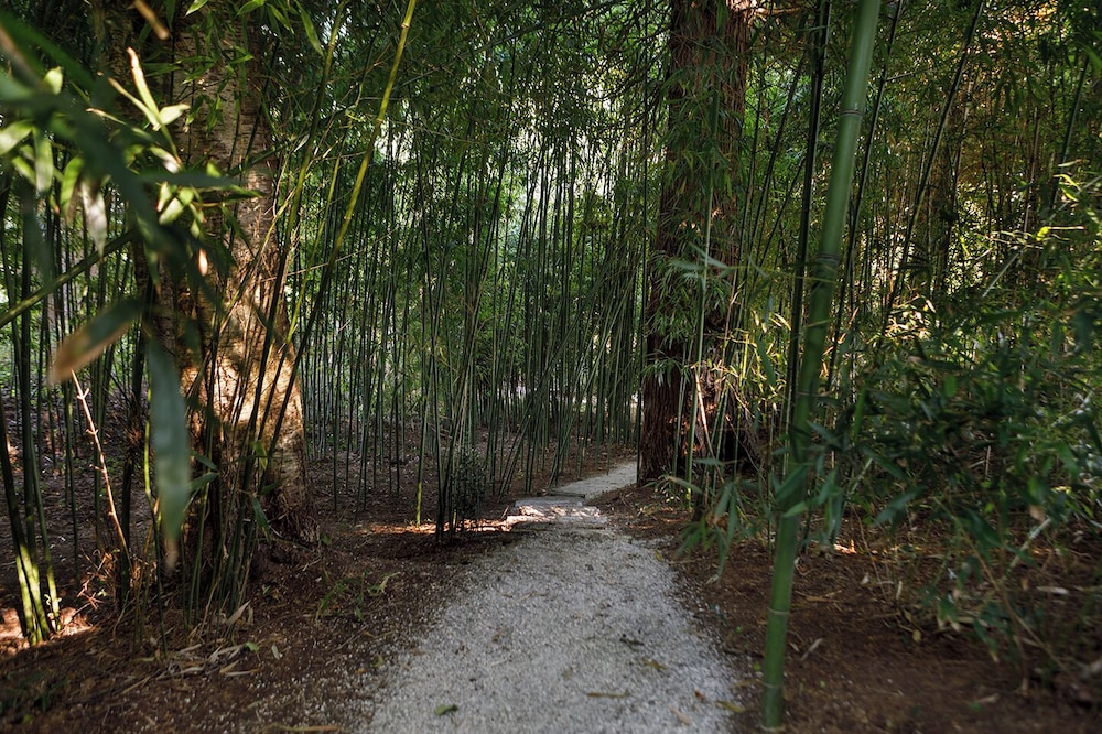 Finca La Peñiga