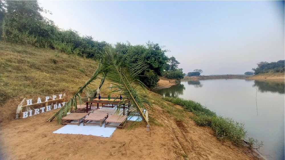 Bastar Birds Nest