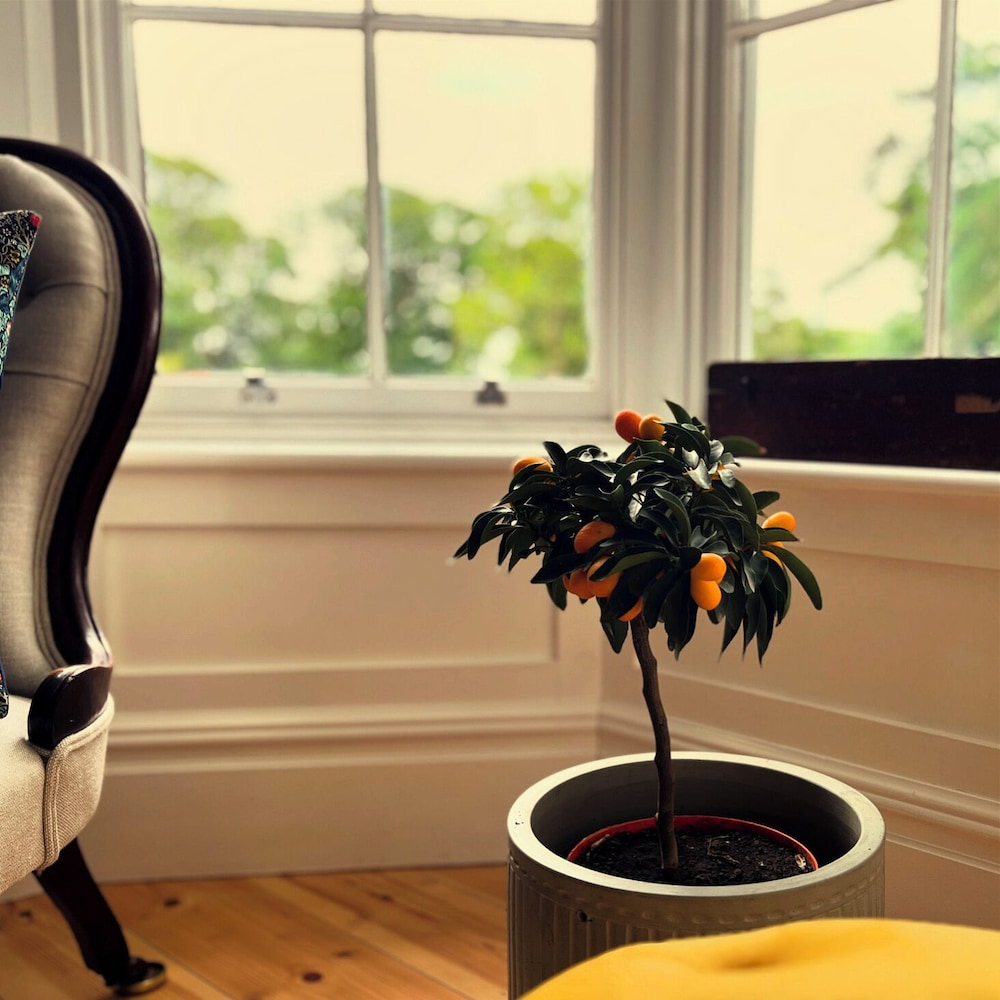 Sancreed House B&B