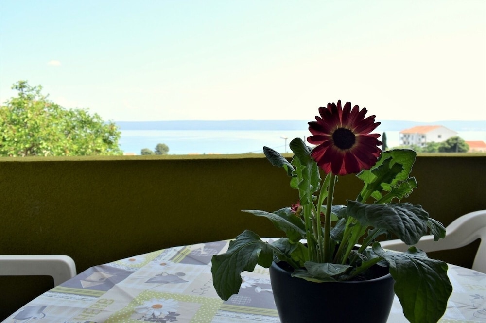 Anastazio -200m From sea - A2 view 3