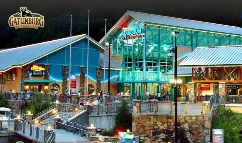 Gatlinburg Ski Week! 2 Bedroom 2 Bath Full Kitchen Sleeps N6834 view 5