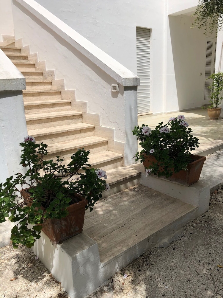 Tenuta Belvedere