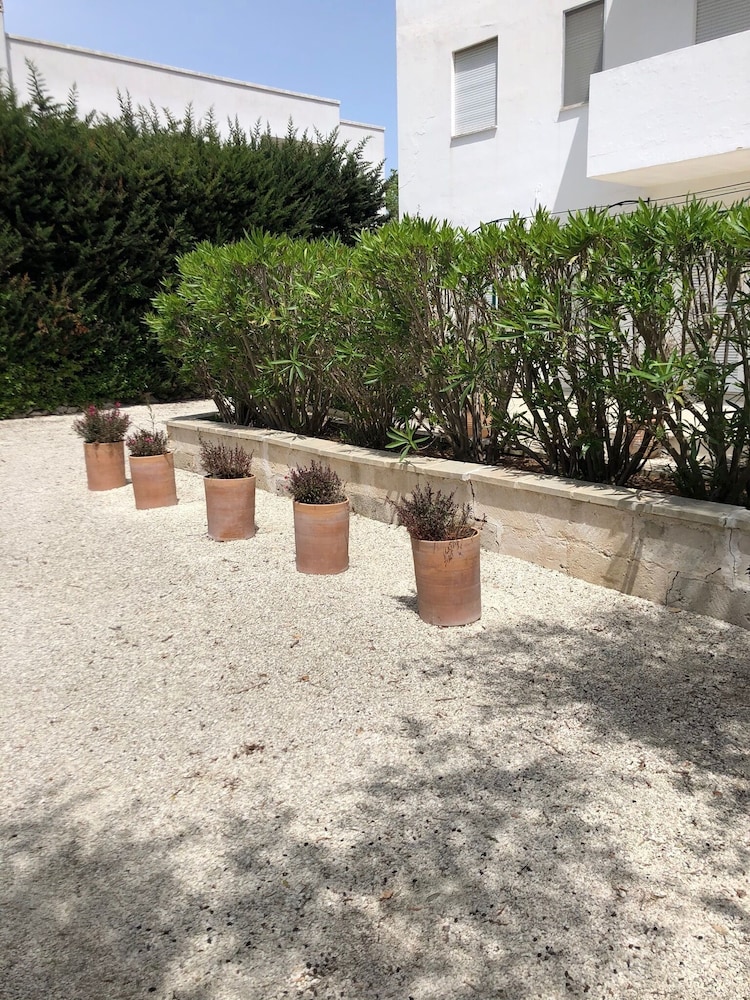 Tenuta Belvedere