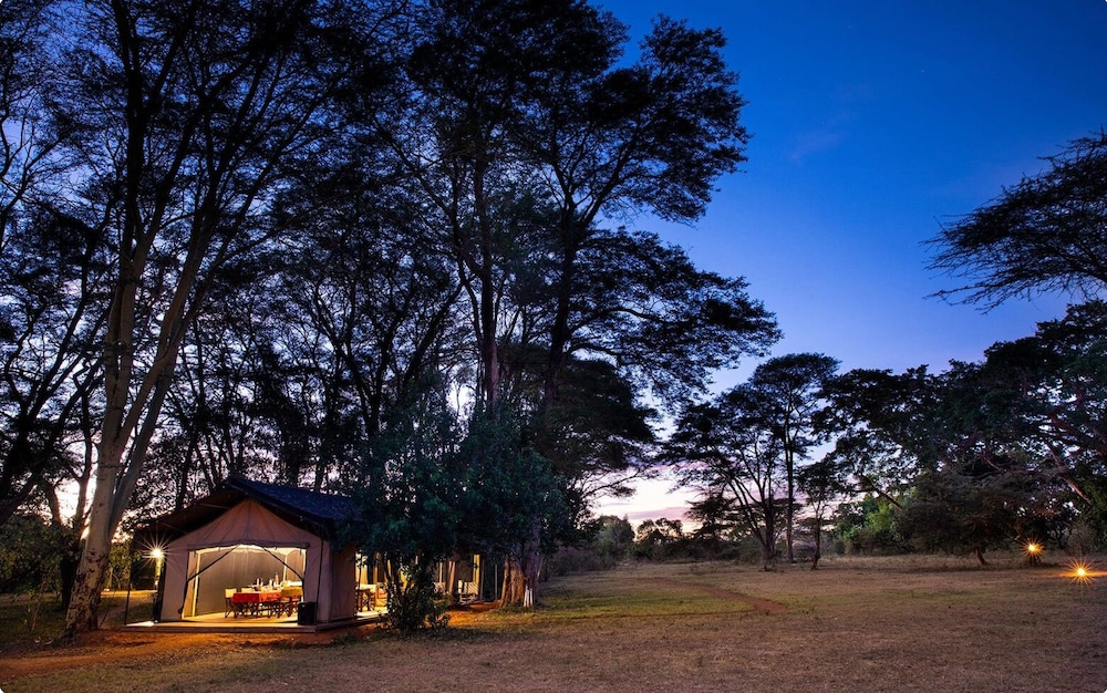 Basecamp Adventure