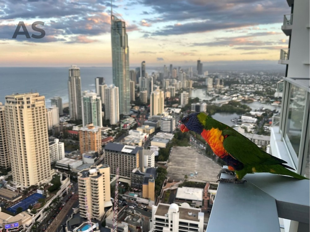 Surfers Paradise Vacations - Circle on Cavill - Apartment Stay Private - Property Image 28