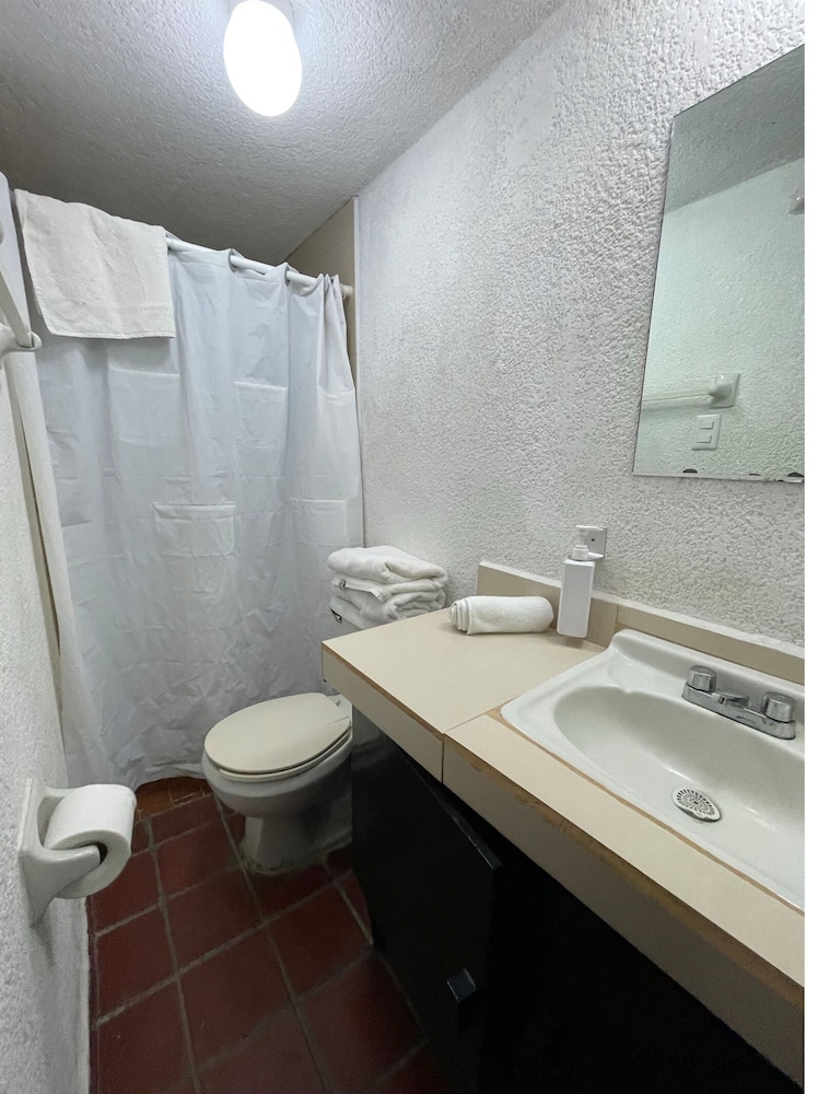 Departamentos Lomas SLP view 4