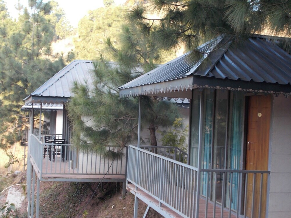 Photo 6