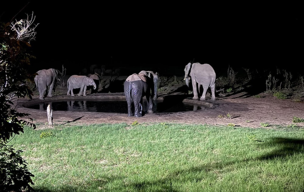 Chamabondo Tented Camp