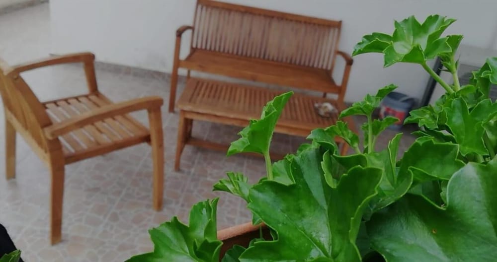 Jenny's House