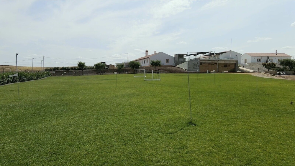 Photo 45