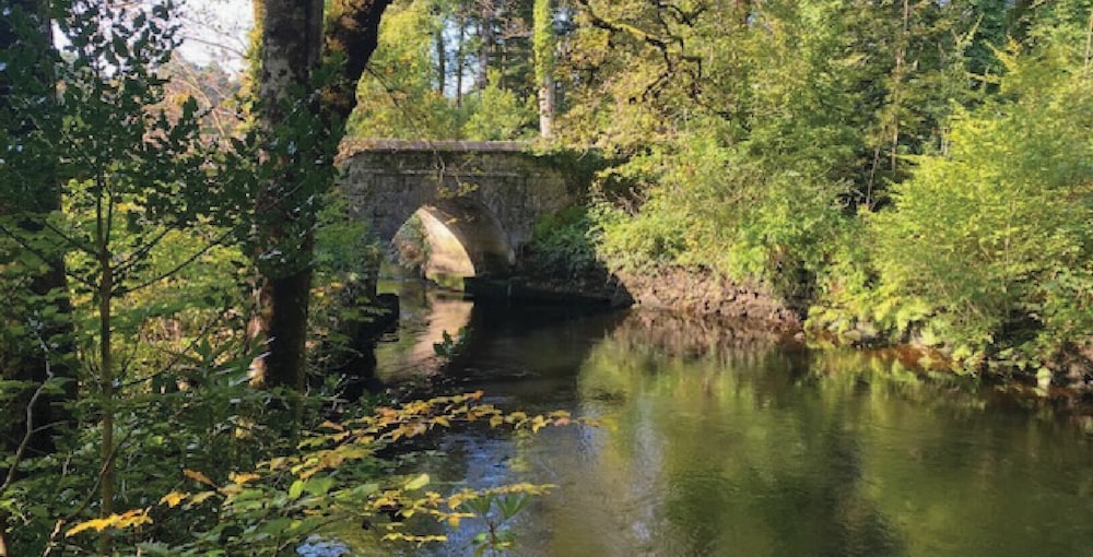 Ballynahinch Castle Hotel 72