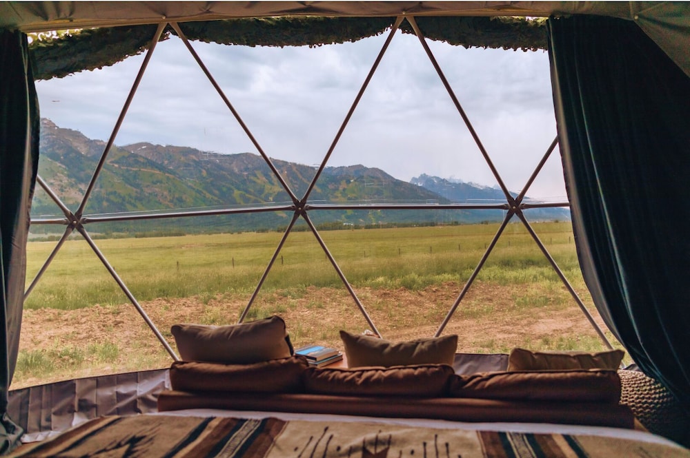 Photo 51