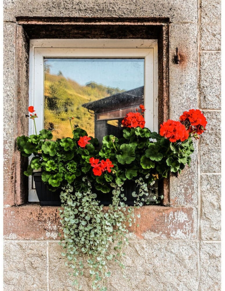 Nice Apartment in Oberkirch